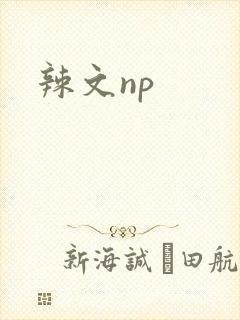 辣文np封面