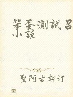 笨蛋测试召唤兽小说