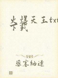 火爆天王txt下载封面