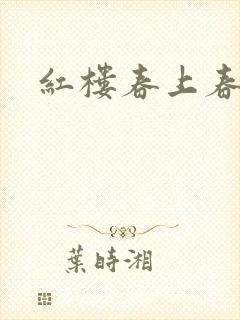 红楼春上春封面
