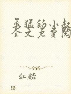 勇猛的小叔小说全文免费阅读