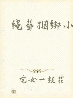 绳艺捆绑小说