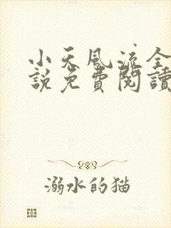 小天风流全集小说免费阅读