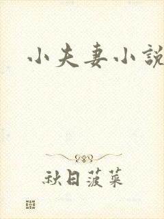 小夫妻小说