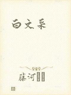 白文采
