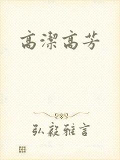 高洁高芳封面