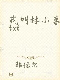 我叫林小喜小说txt