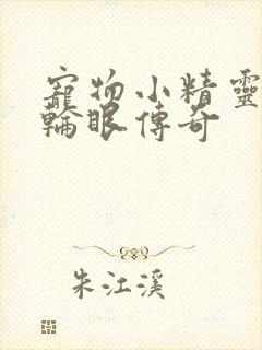 宠物小精灵之写轮眼传奇封面