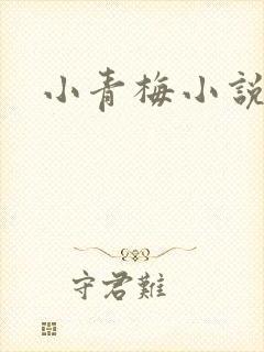 小青梅小说