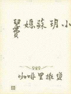 儿媳苏玥小说免费