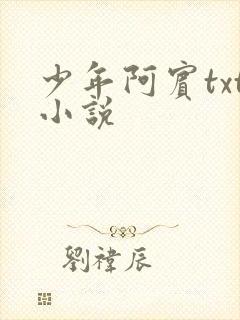 少年阿宾txt小说封面