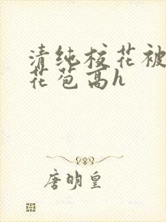 清纯校花被迫开花苞高h封面
