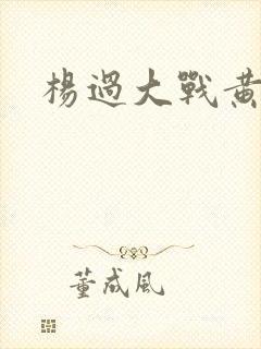杨过大战黄蓉封面