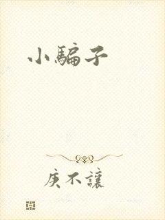 小骗子封面