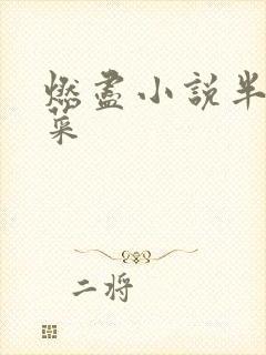 燃尽小说半截白菜