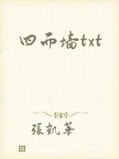 四面墙txt封面