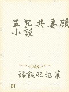 五兄共妻顾心儿小说