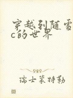 穿越到随处可以c的世界