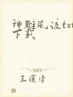 神雕风流txt下载