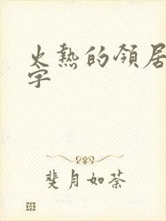 火热的领居中文字