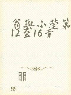 翁与小莹第十部12至16章