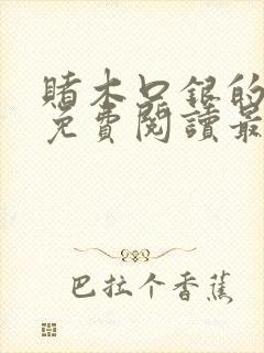 赌木口银的小说免费阅读最新封面