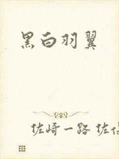 黑白羽翼封面