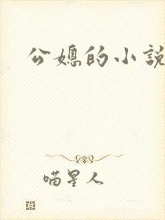 公媳的小说封面