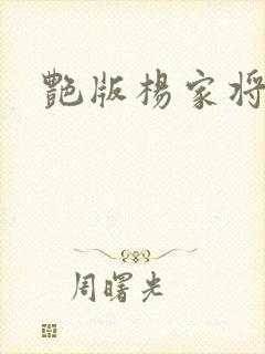 艳版杨家将封面