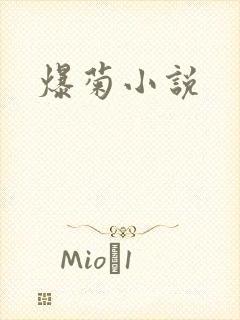 爆菊小说