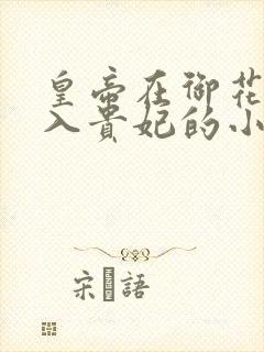 皇帝在御花园进入贵妃的小说