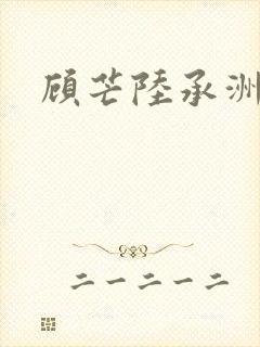 顾芒陆承洲封面