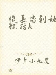 机长脔到她哭h粗话h封面