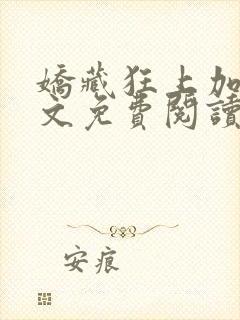 娇藏狂上加狂全文免费阅读笔趣阁