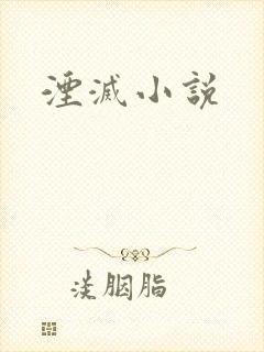 湮灭小说