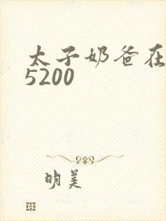 太子奶爸在花都5200封面