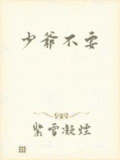 少爷不要封面