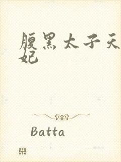 腹黑太子天降萌妃