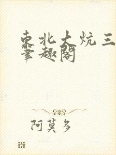 东北大炕三部曲笔趣阁