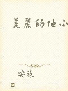美丽的他小说