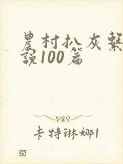 农村扒灰系列小说100篇封面