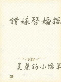 错嫁替婚总裁封面