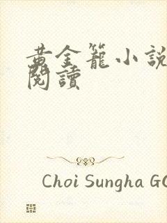 黄金笼小说免费阅读