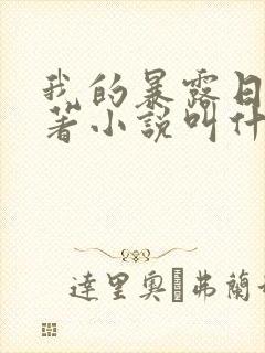 我的暴露日记原著小说叫什么