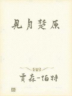 见月楚原封面