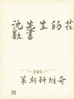 沈先生的花式调数书