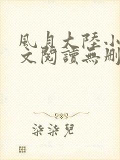 风月大陆小说全文阅读无删减封面