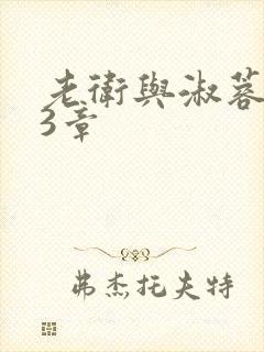 老卫与淑蓉第13章
