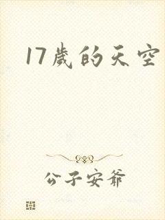 17岁的天空