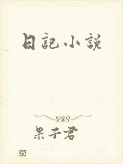 日记小说封面